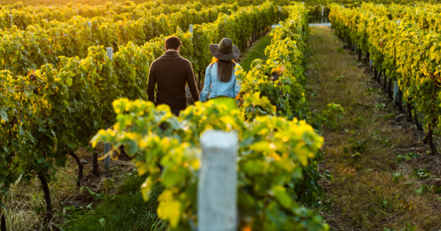  Top  5 destinatii mai putin cunoscute pe care orice iubitor de vin ar trebui sa le bifeze