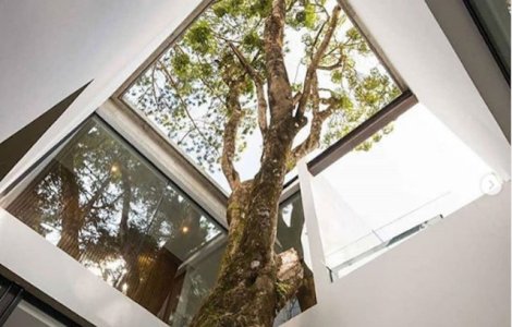  Top  10+ imagini graitoare care demonstreaza ca putem trai in deplina armonie cu natura