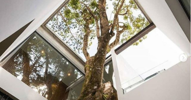  Top  10+ imagini graitoare care demonstreaza ca putem trai in deplina armonie cu natura