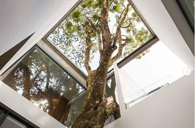 10+ imagini graitoare care demonstreaza ca putem trai in deplina armonie cu natura