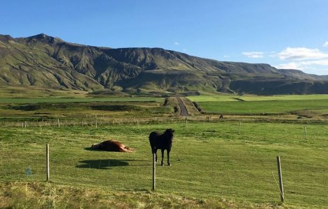  Top  Perfectiunea in imagini. 10+ fotografii neatinse de Photoshop care nu mai au nevoie de nicio prezentare