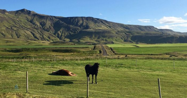  Top  Perfectiunea in imagini. 10+ fotografii neatinse de Photoshop care nu mai au nevoie de nicio prezentare