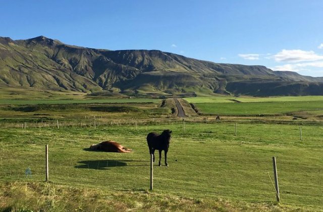 Perfectiunea in imagini. 10+ fotografii neatinse de Photoshop care nu mai au nevoie de nicio prezentare