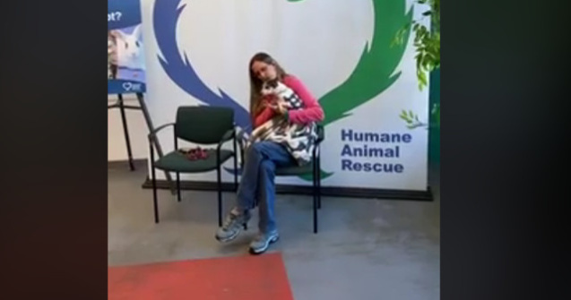 O catelusa disparuta de acasa la varsta de 2 ani, gasita de stapana dupa 12 ani/ VIDEO