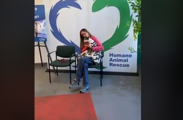 O catelusa disparuta de acasa la varsta de 2 ani, gasita de stapana dupa 12 ani/ VIDEO