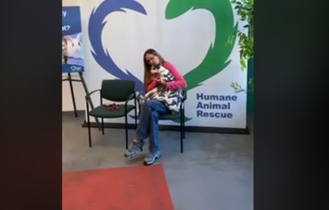 O catelusa disparuta de acasa la varsta de 2 ani, gasita de stapana dupa 12 ani/ VIDEO