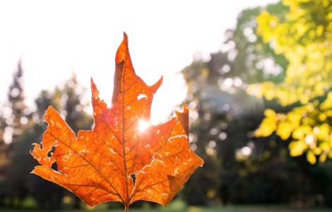 Vreme calduroasa. Meteorologii anunta temperaturi de pana la 26 de grade in perioada urmatoare