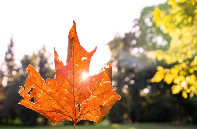 Vreme calduroasa. Meteorologii anunta temperaturi de pana la 26 de grade in perioada urmatoare