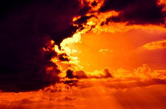 O familie care a trait 9 ani intr-o pivnita "asteptand sfarsitul lumii", descoperita de autoritati/ FOTO