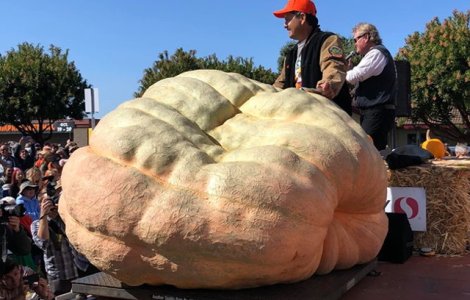 Un american a stabilit un nou record in SUA cu un dovleac de 986,5 kg