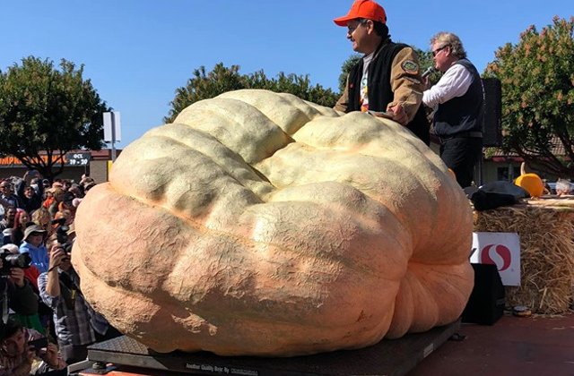 Un american a stabilit un nou record in SUA cu un dovleac de 986,5 kg