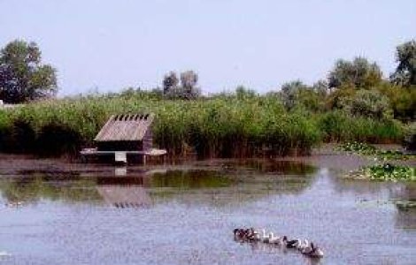 Delta Dunarii, un paradis aproape pierdut