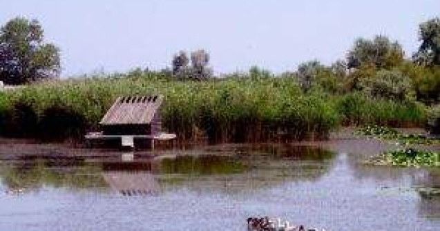 Delta Dunarii, un paradis aproape pierdut