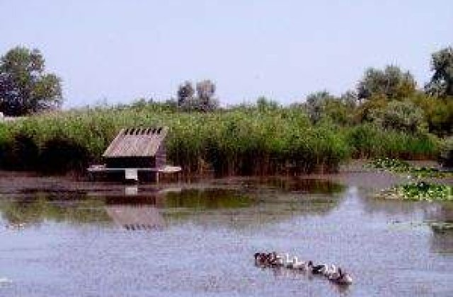 Delta Dunarii, un paradis aproape pierdut