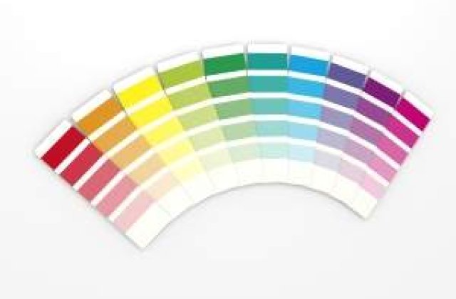 Doua nume mari in piata de vopsele isi unesc fortele