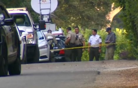 Sotia celebrului actor Ron Ely a fost ucisa de propriul fiu