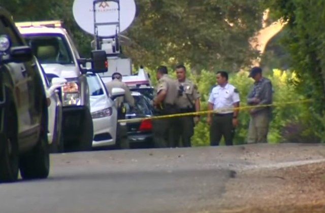 Sotia celebrului actor Ron Ely a fost ucisa de propriul fiu