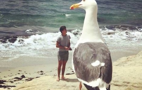  Top  Priveste indeaproape: 15 imagini care te vor face sa iti pui la indoiala vederea