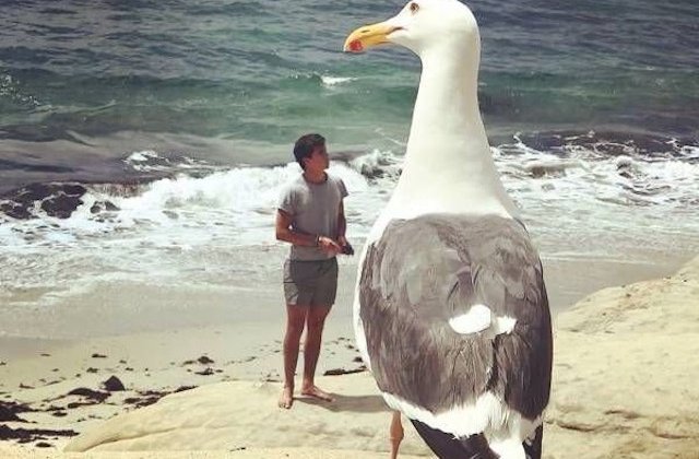 Priveste indeaproape: 15 imagini care te vor face sa iti pui la indoiala vederea