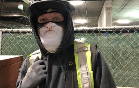  Top  10+ fotografii care arata ca job-urile pot fi distractive