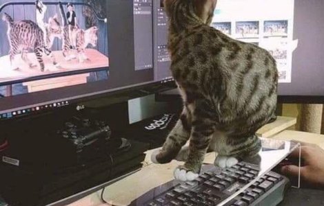  Top  10+1 obiecte care, in sfarsit, s-au inventat si ne fac viata mult mai usoara