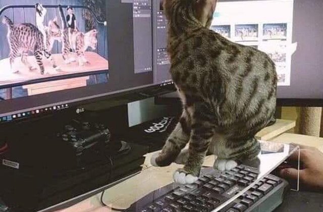 10+1 obiecte care, in sfarsit, s-au inventat si ne fac viata mult mai usoara