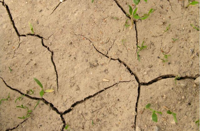 Actioneaza responsabil! Alte planete sunt greu de gasit 2.0