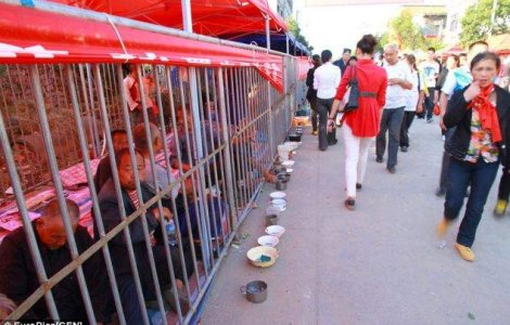 Cersetorii din China, obligati sa stea in custi