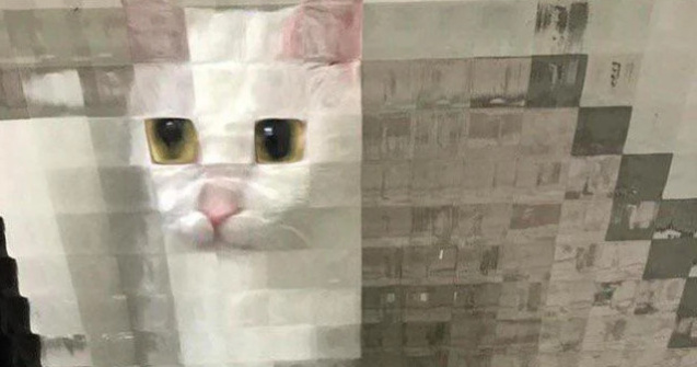  Top  Realitatea invinge Photoshop-ul: 10+ imagini aparte cu pisici