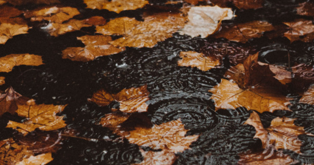 Prognoza meteo: Se raceste vremea si apar ploile din 27 octombrie