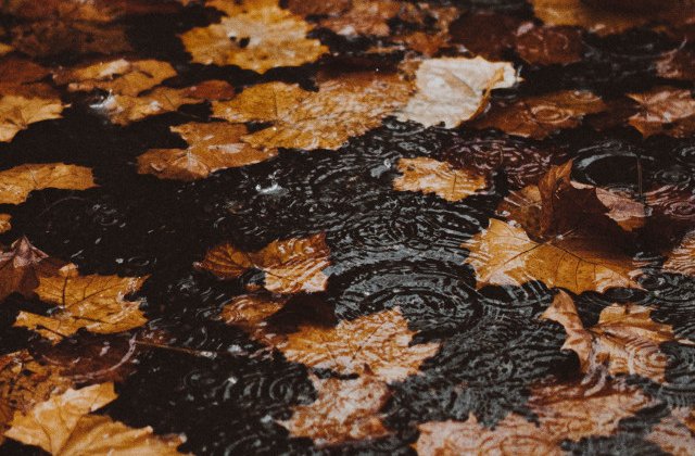 Prognoza meteo: Se raceste vremea si apar ploile din 27 octombrie