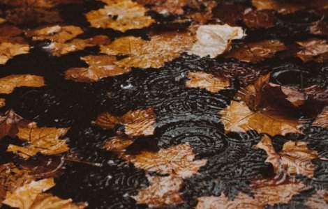 Prognoza meteo: Se raceste vremea si apar ploile din 27 octombrie