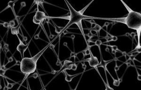 Curiozitati despre creier pe care trebuie sa le stii