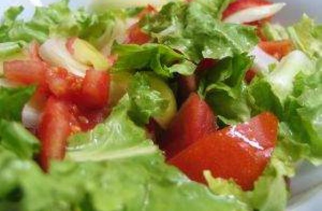 Bucuresti: 4.400 kg de salata pentru Cartea Recordurilor