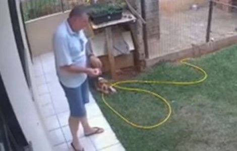 Si-a aruncat gradina in aer, dupa ce a vrut sa scape de gandaci