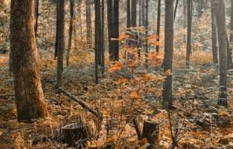 Meteo: Vremea se strica in octombrie