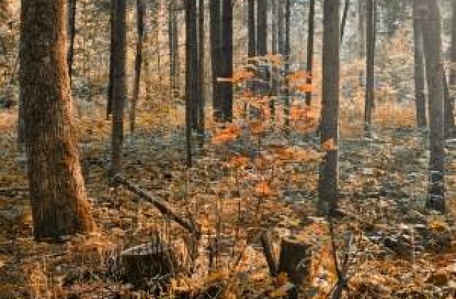 Meteo: Vremea se strica in octombrie