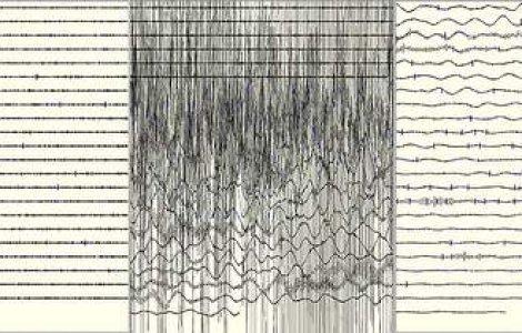Cutremur de 6,9 grade in Alaska