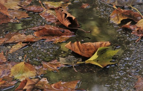 Vremea la inceput de noiembrie: Se raceste si vin ploile