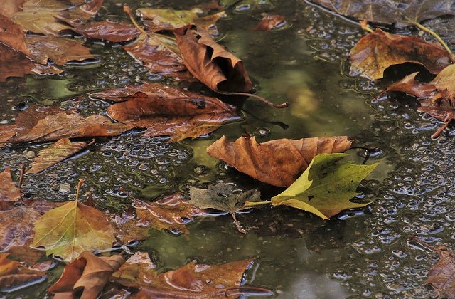 Vremea la inceput de noiembrie: Se raceste si vin ploile. Temperaturi sub zero grade in cursul noptii