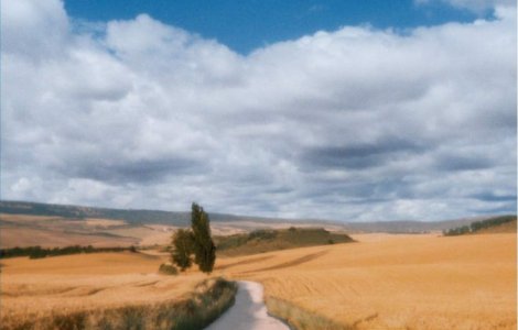 Camino: Despre curaj si incredere in sine