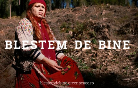 Greenpeace apeleaza la blestemul unei vrajitoare pentru a opri distrugerea padurilor Romaniei