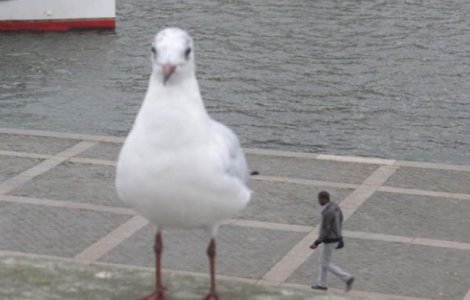  Top  Depinde cum le privesti: 10+ fotografii in care unghiul face diferenta