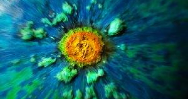  Video  "Ucigasul" dinozaurilor, descoperit in Romania