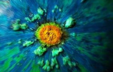  Video  "Ucigasul" dinozaurilor, descoperit in Romania