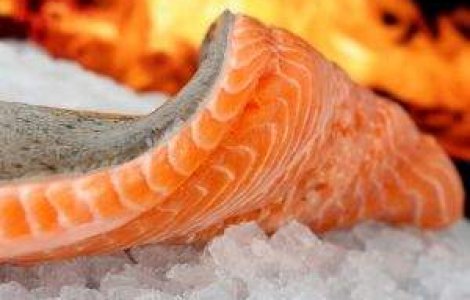 Sute de persoane infectate cu salmonella in Olanda si SUA