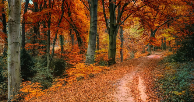Prognoza meteo in urmatoarele doua saptamani. Vreme mai calda decat normalul perioadei