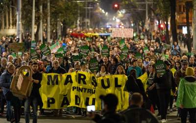 Galusca (Greenpeace Romania):...