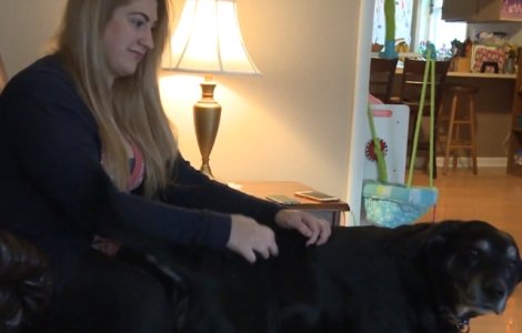 O femeie risca sa faca inchisoare pentru ca nu a returnat la timp cartile imprumutate de la biblioteca / VIDEO