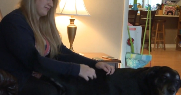 O femeie risca sa faca inchisoare pentru ca nu a returnat la timp cartile imprumutate de la biblioteca / VIDEO